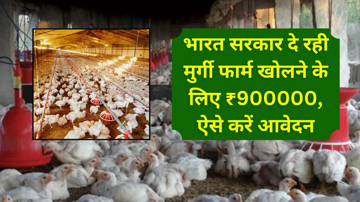 Poultry farming loan 2024