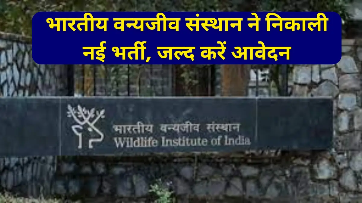 Wildlife Institute Group C 16 Recruitment